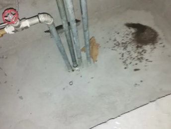 盐湖卫生间测漏水价格明细